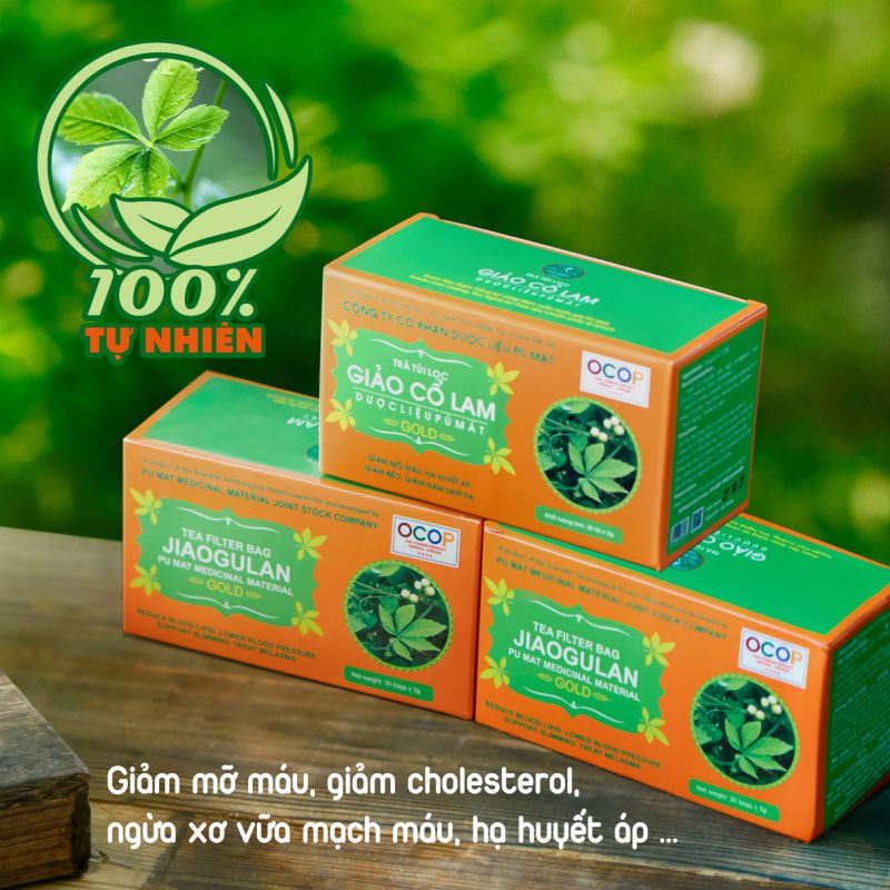 Trà dược liệu túi lọc Giảo Cổ Lam hạ huyết áp, giảm mỡ máu, hỗ trợ bệnh tiểu đường
