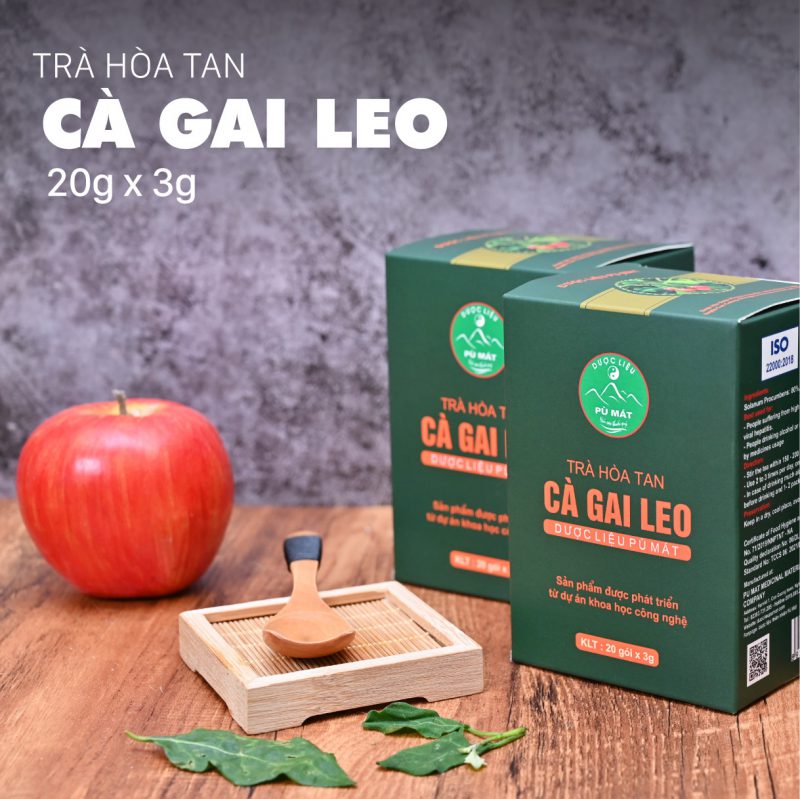 Trà hòa tan Cà Gai Leo giúp giải độc gan, viêm gan, gan nhiễm mỡ
